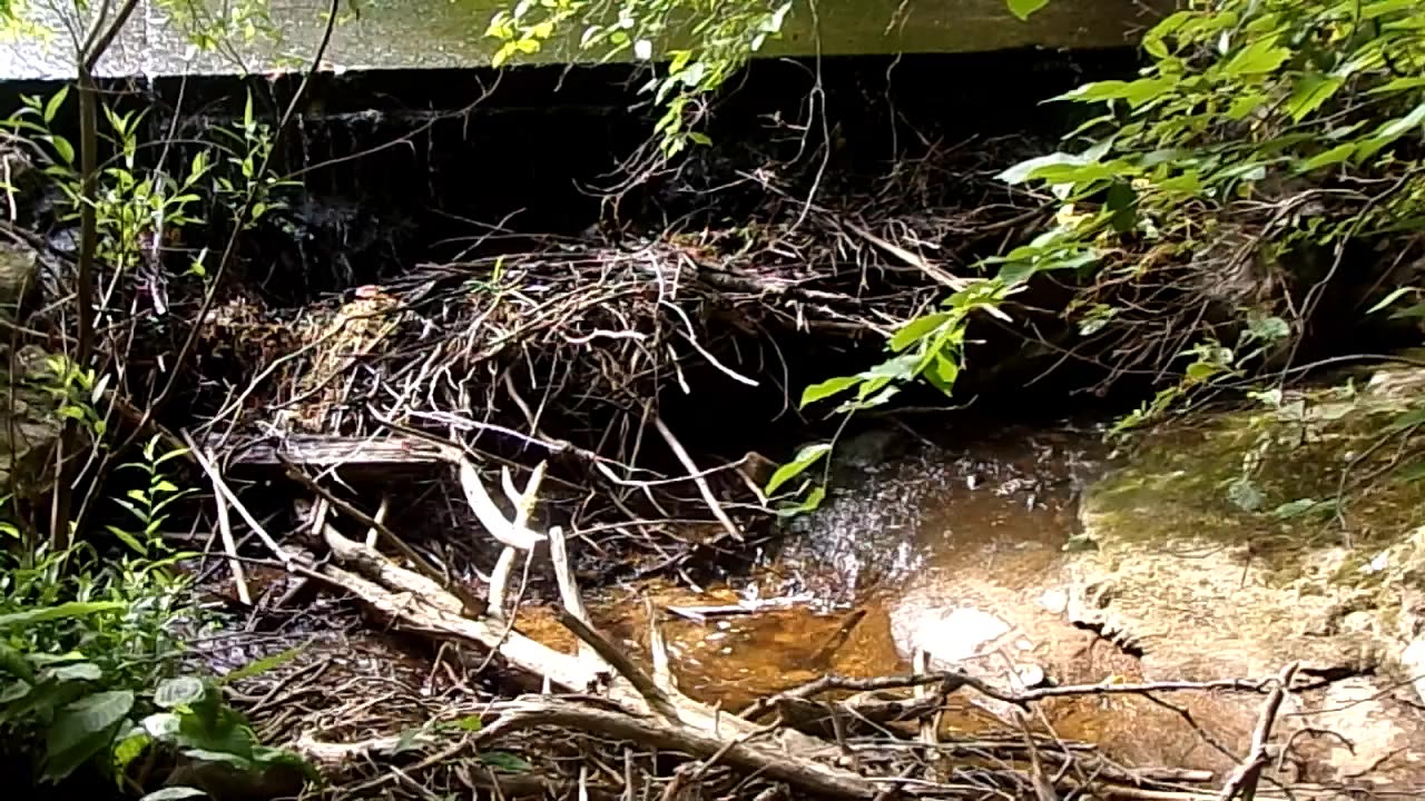 The run off at Winston Lake