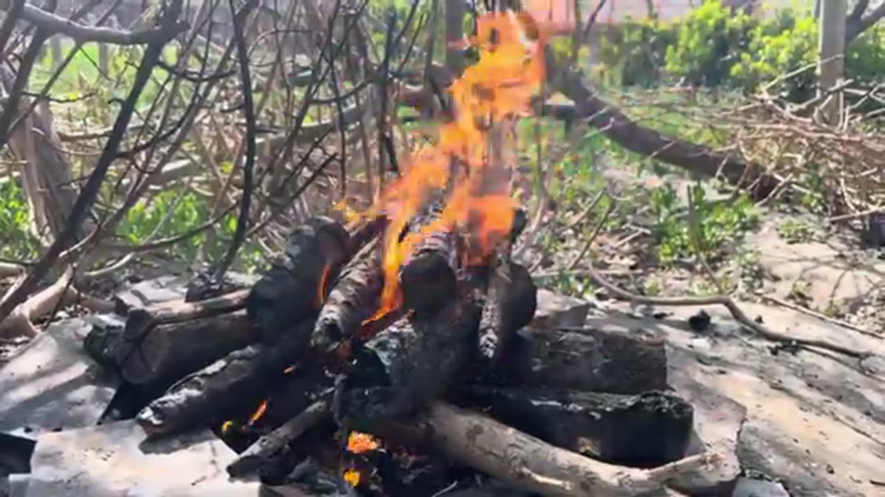 “Savor Nature’s Serenity: Butter-Grilled Chicken🍗 Thighs That Captivate Your Taste”🔥😋