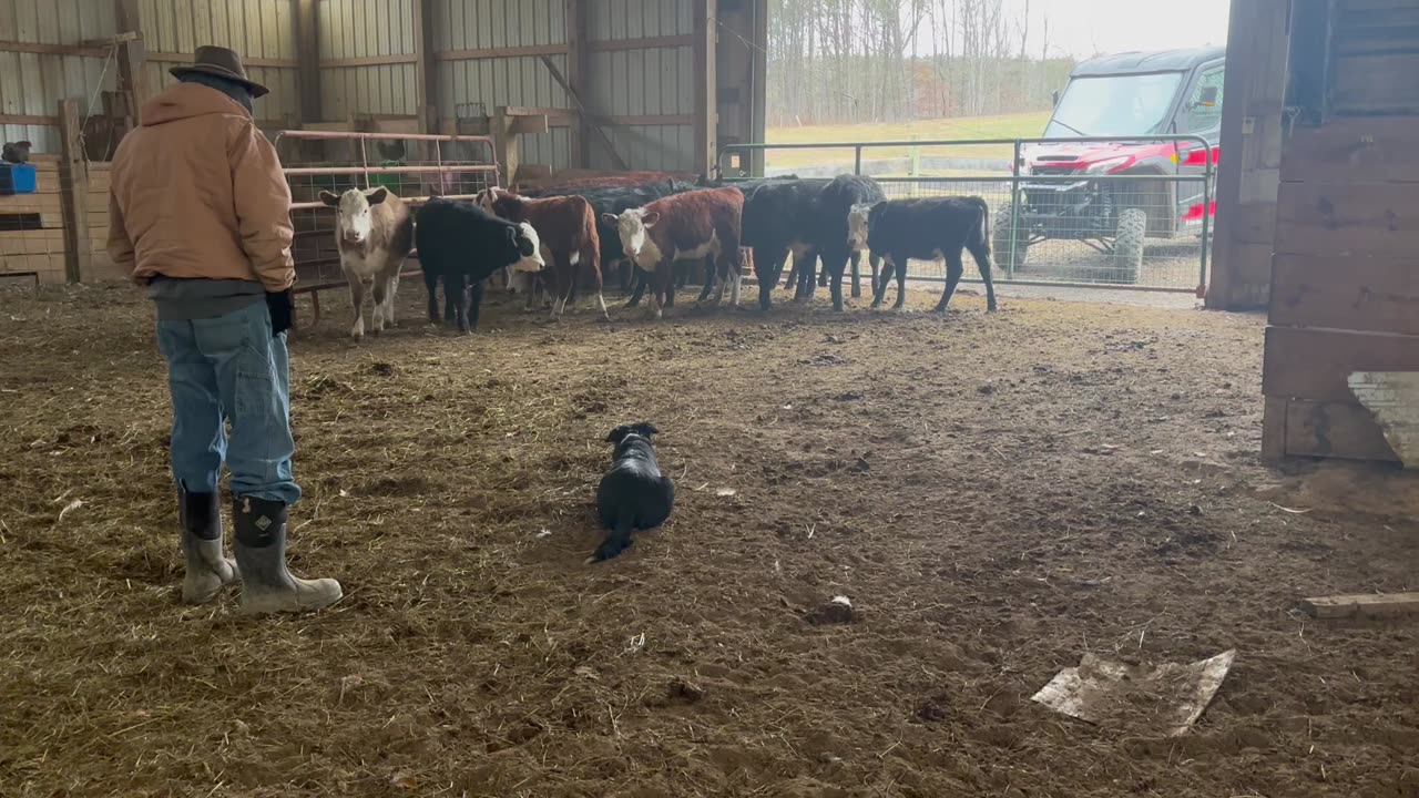 Wendy Sue 11/27/2025 Two