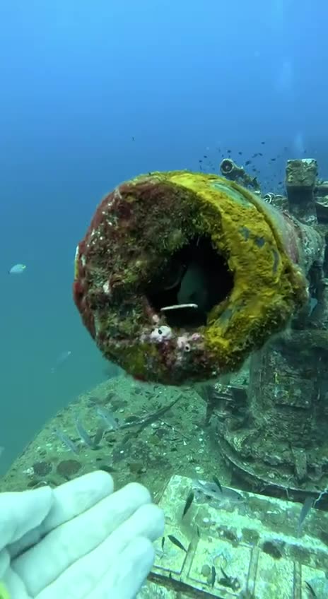 Please keep your junk out of my house 🤣