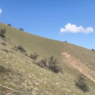 Aziak Equipment Backcountry Lite Tripod