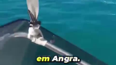 A VERDADE SOBRE A FAVELA