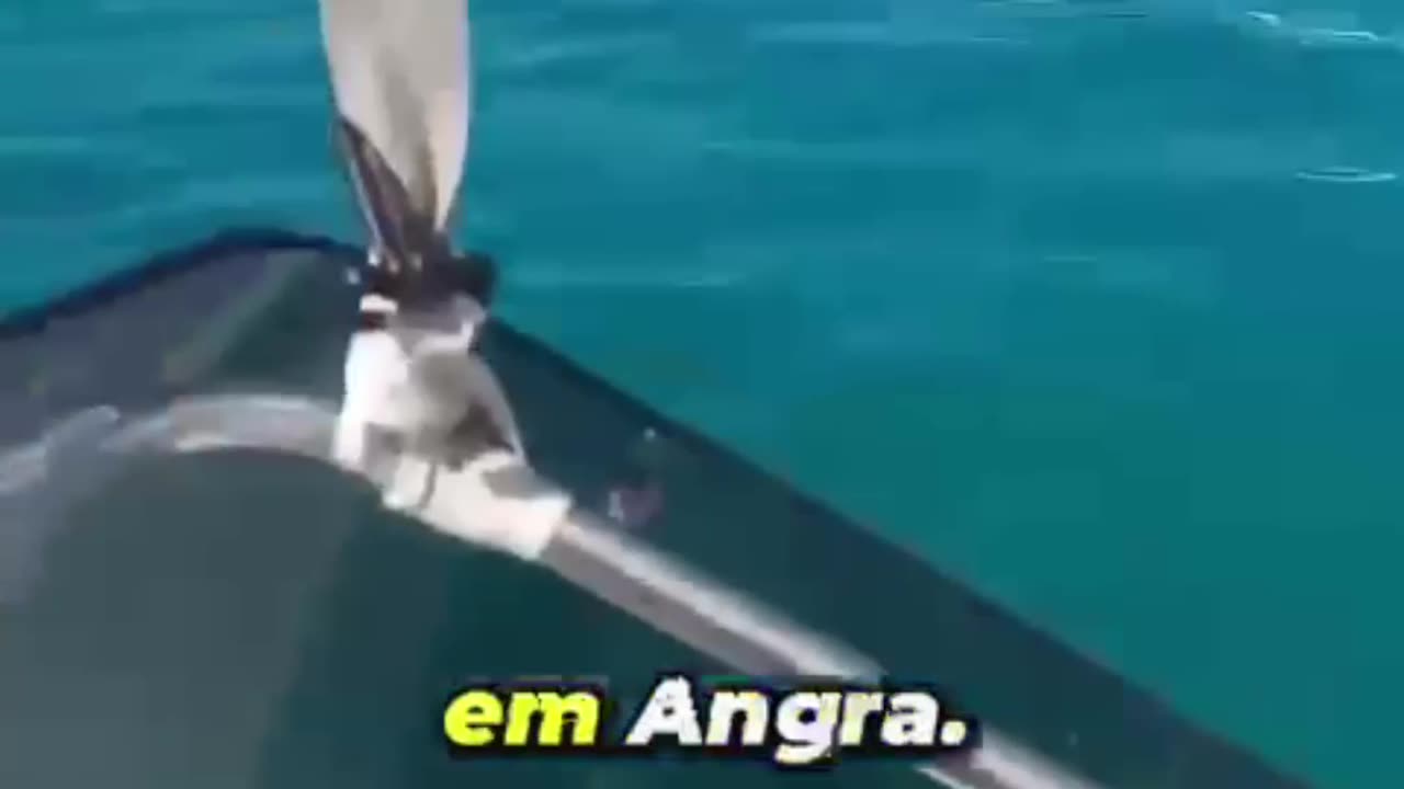 A VERDADE SOBRE A FAVELA