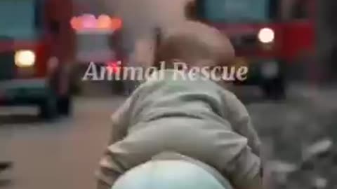 5 Essential Animal Rescue Hacks to Revolutionize Your Volunteer Work