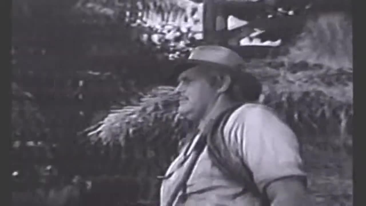 Sheena Queen of the Jungle - episode 7