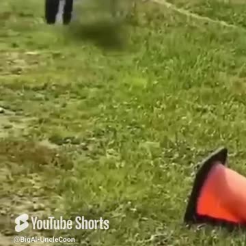 THE DEMOCRATS ARE GOING DOWN!