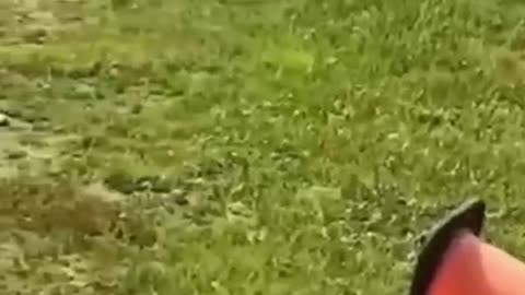 THE DEMOCRATS ARE GOING DOWN!