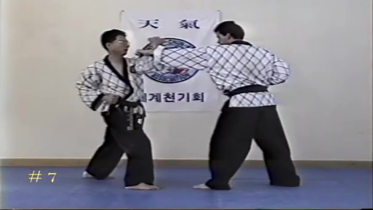 Hapkido
