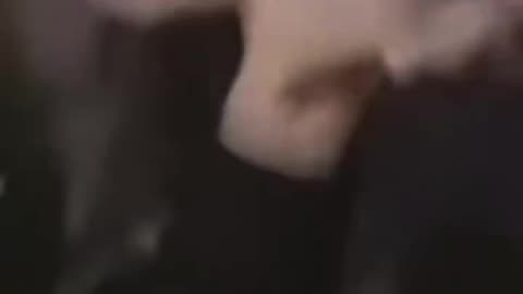 Chrisean fight Part 1