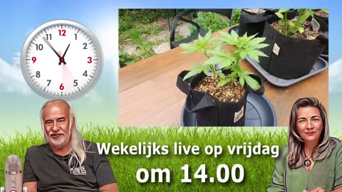 Iedere vrijdagmiddag om 14.00 gaan we weer live!