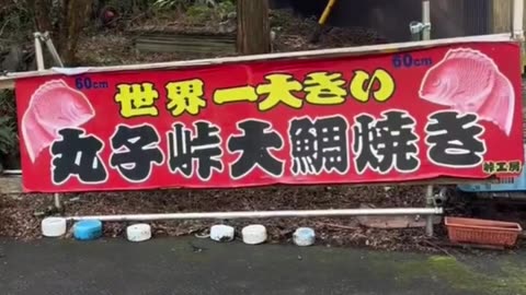 Japan’s Giant Taiyaki Is 60cm of Dessert Madness 🐟🍰