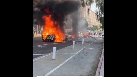 The LA Insurrection