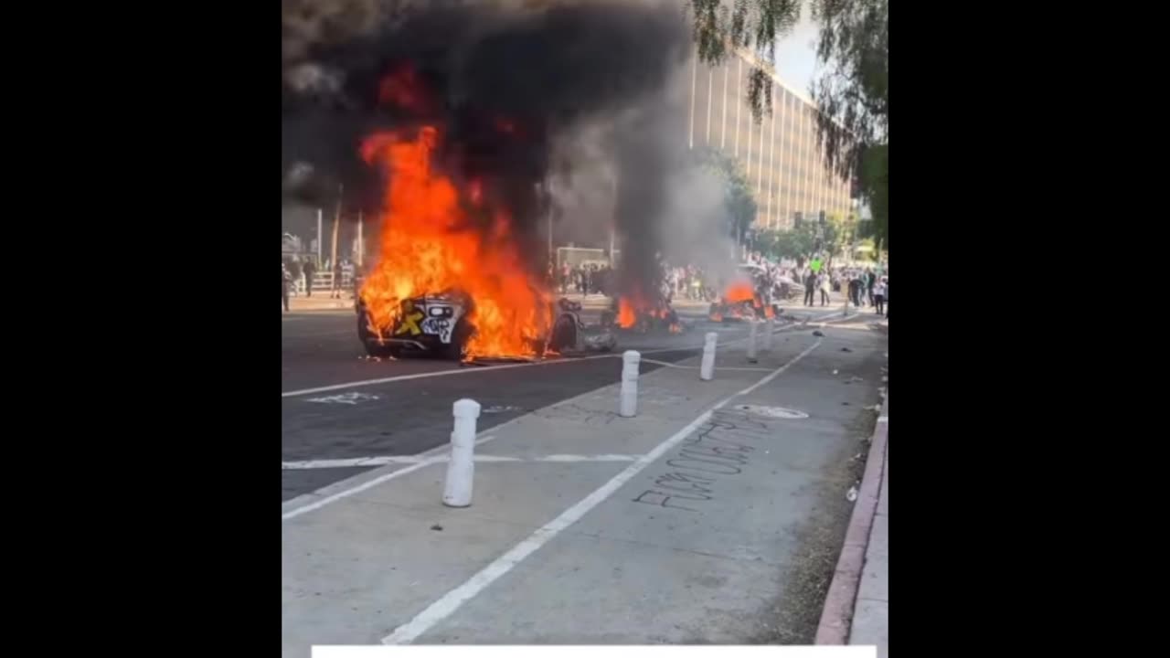The LA Insurrection