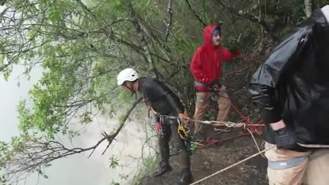 New amazing video