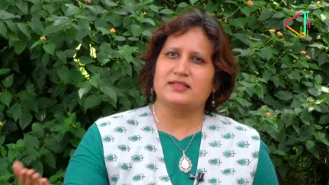 Maheshwari Sari: A Queen's Legacy