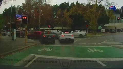 How many more can you fit in there