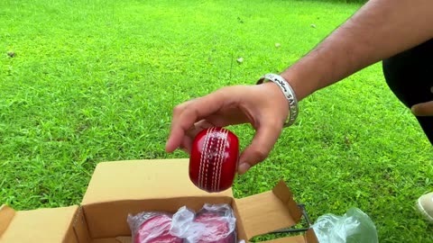 Heega Flat Seam Leather Cricket Ball
