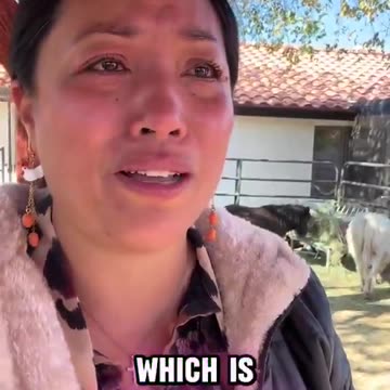 The same system that approves corporate mega-farms won’t let a her run a tiny egg stand.