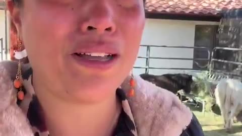 The same system that approves corporate mega-farms won’t let a her run a tiny egg stand.