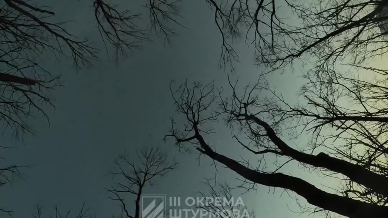 Incredible Combat Footage from Ukrainian 3rd Assault Brigade