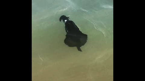 A lot of people have asked me what this is — what do you think it is?