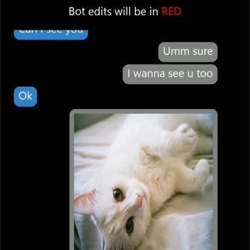 Pictures swapped with cats