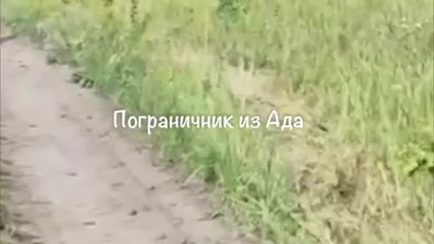 📱🎥 Ukraine Russia War | Telegram Channel Reveals New Ukrainian Army Tactic | RCF