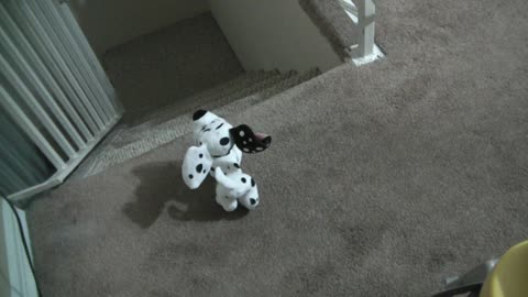 ‎June ‎27, ‎2019, ‏‎4:12:30 AM