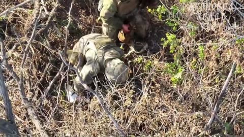 War in ukraine
