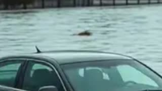 Coastal Flood Alerts Hit New York and New Jersey Friday