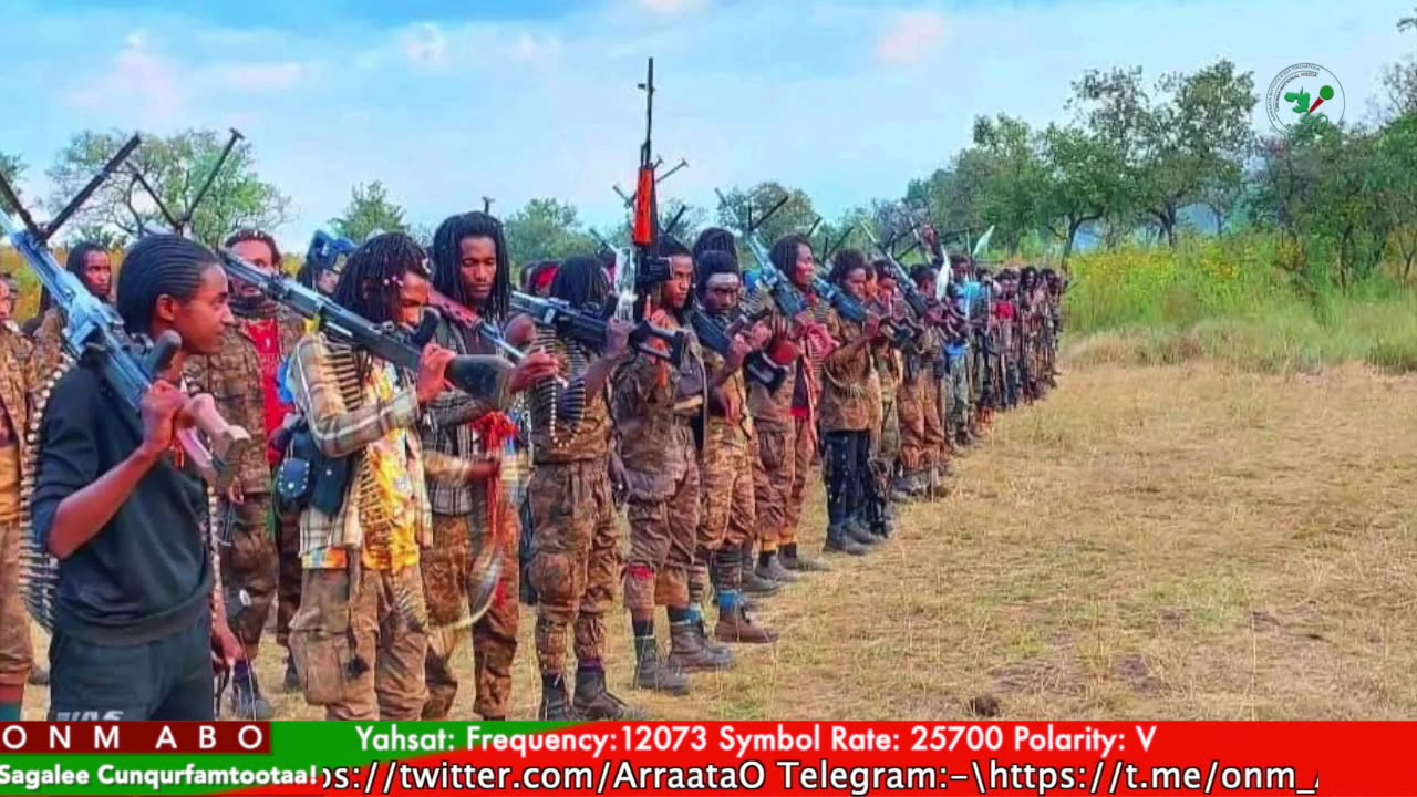 Gabaasa Tarkaanfii ONM-ABO Adoolessa 21-2025 itti dhiyaadhaa!