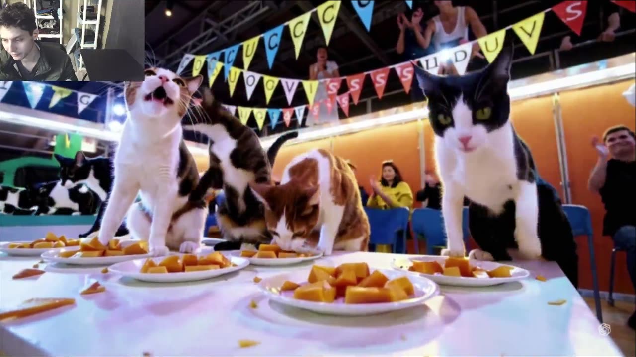 Outtake #1,193 Of The Cats Attempt The Mango Eating Contest Fake Funny Parody Video