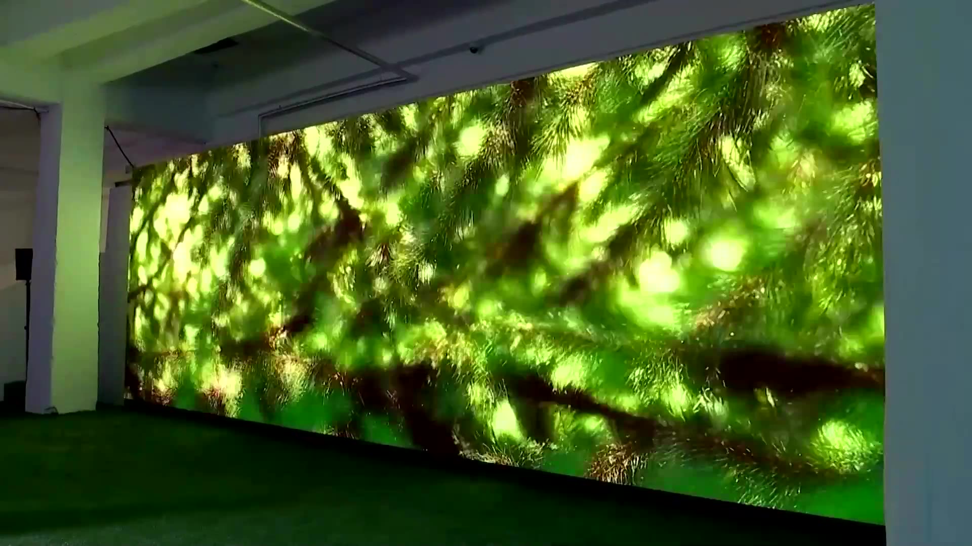 Artist uses fleeting AI-generated images to depict nature