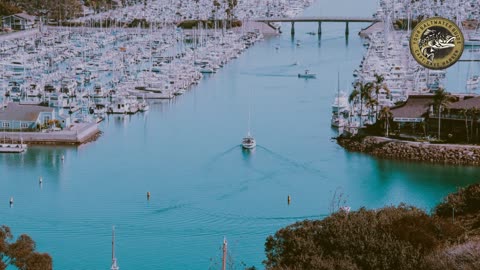 Lobster Hooping in Long Beach with Capt. Justin Bottrell! | YSWG March 19, 2025