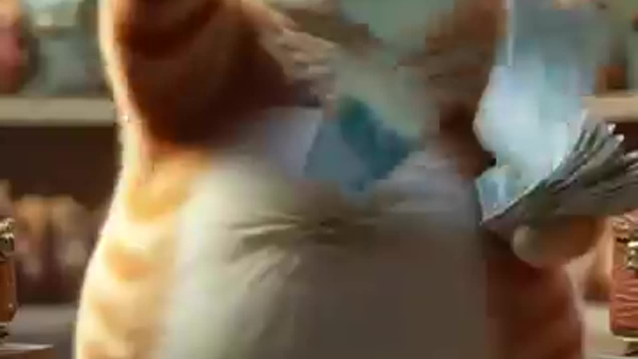 fat cat