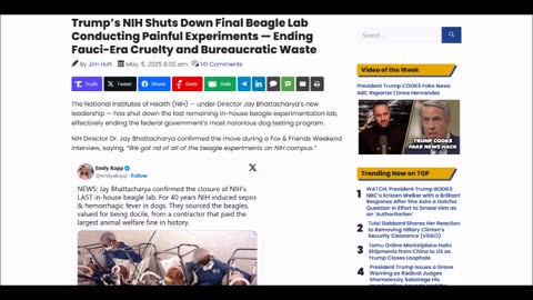 Trump’s NIH Shuts Down Final Beagle Lab Conducting Painful Experiments