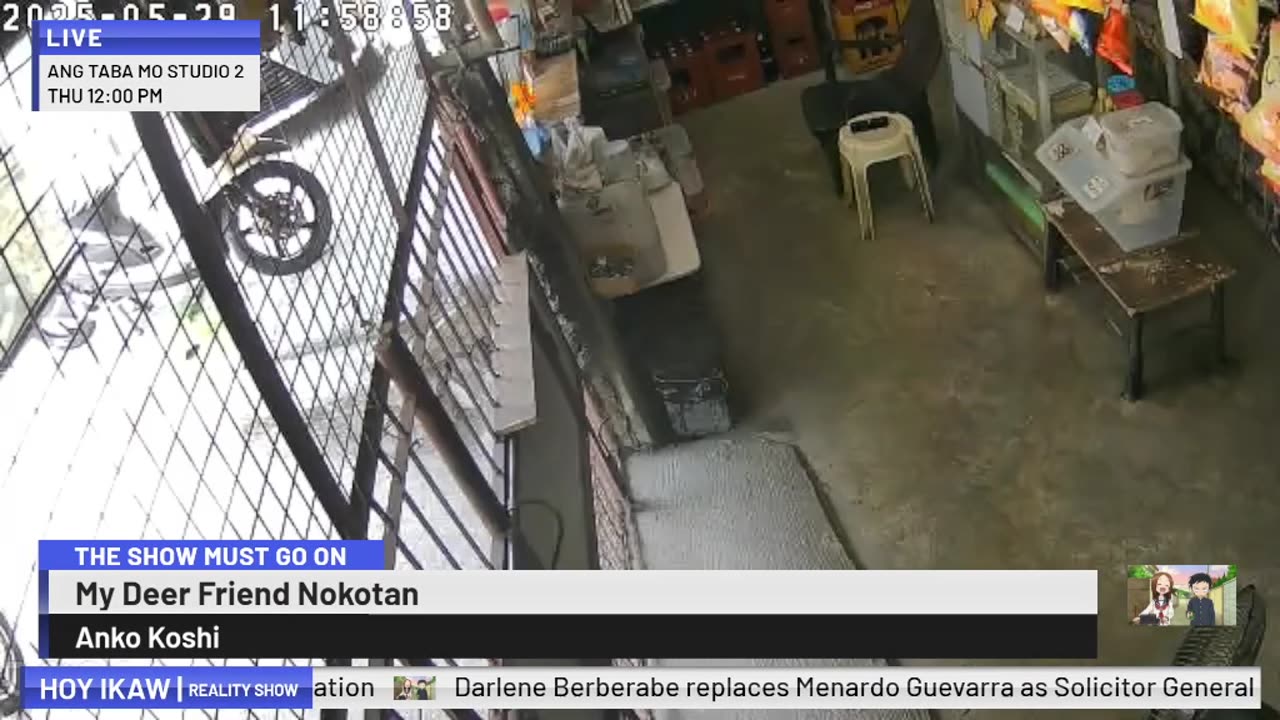 Mitsubishi Xpander 2019 Live