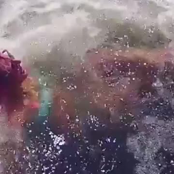 Untitled design (11)