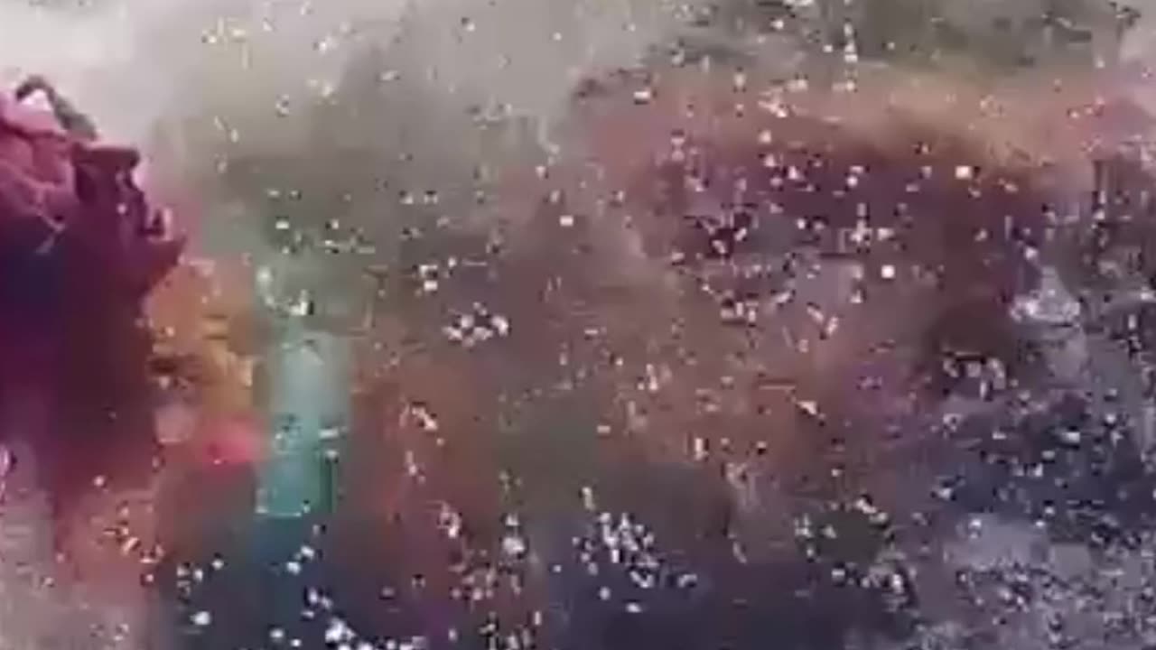 Untitled design (11)