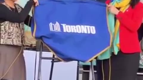 Toronto unveils new district