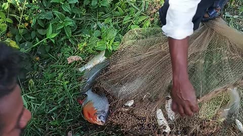 Fishings 🐠 in lacks water 💦 🌊