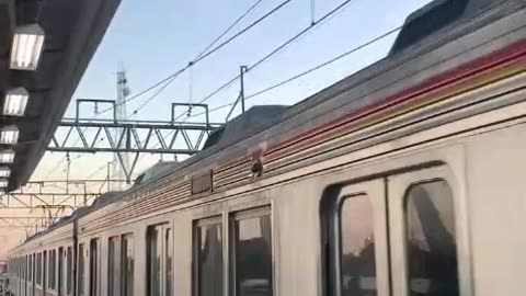 "The Swift Passage of the Bullet Train"