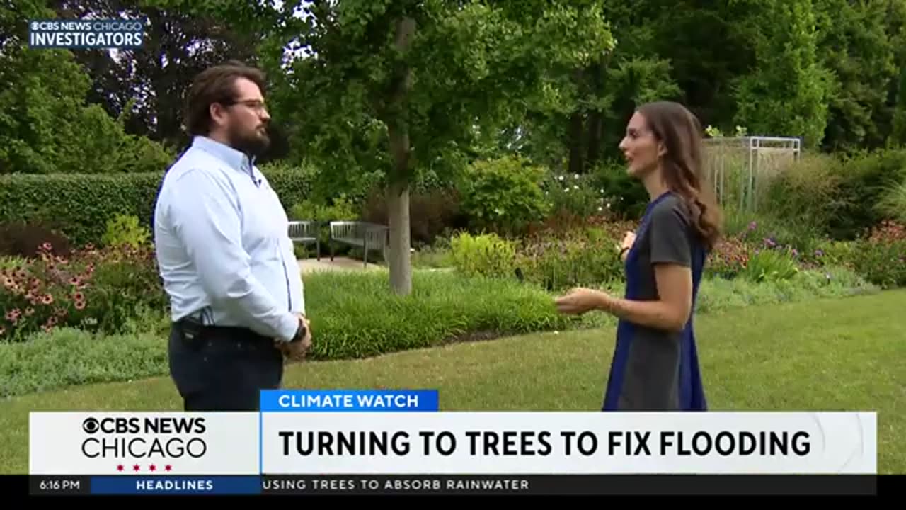 Morton Arboretum turns to trees to fix flooding