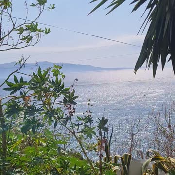 RESET2024-nominacja Trumpa.