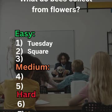 ULTIMATE Trivia Quiz! Can You Beat All Levels? #quiz #trivia #challenge