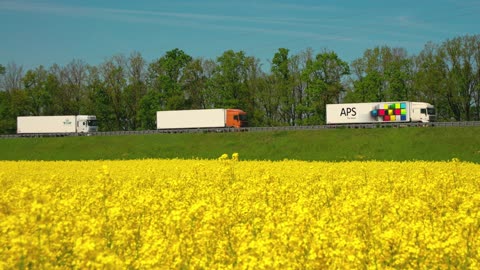 Podcast #01 FMCSA