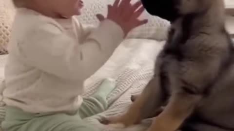 A little girl who loves puppies 🐶😍