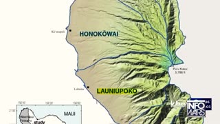 The Browne Report - Never Forget What Happened In Maui