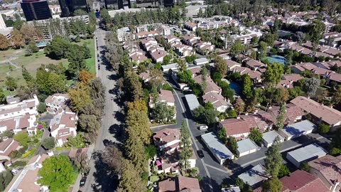 10/28/2025 - maybe 10 obvious groupings, mostly whites 2s and 2 blues