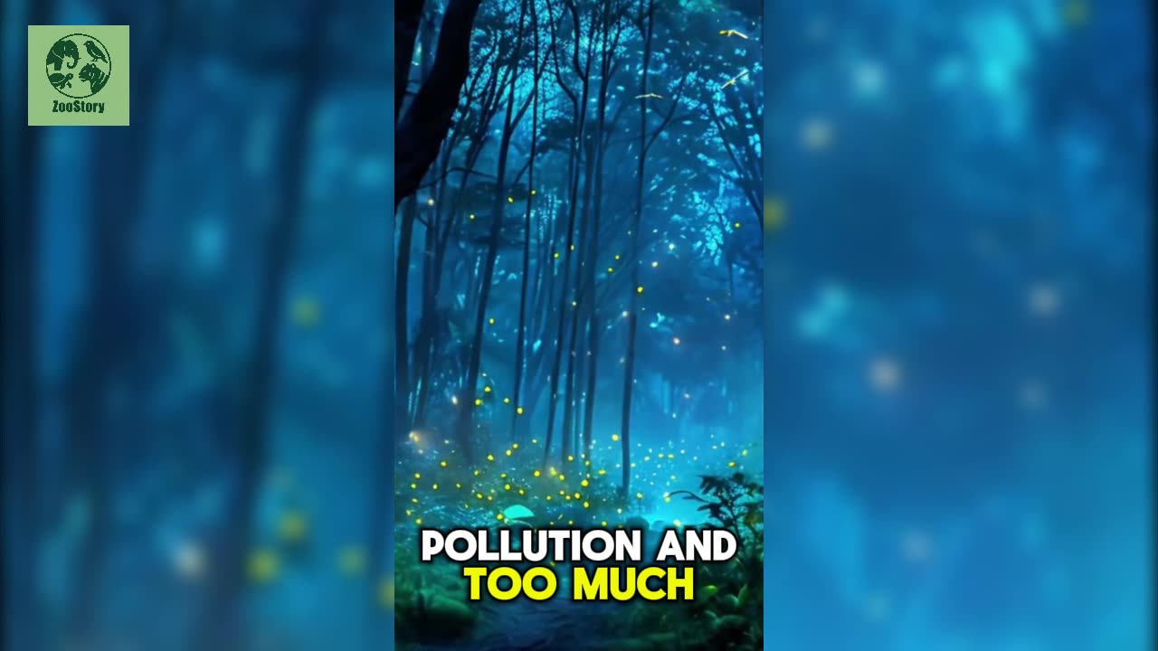 The Magical World of Fireflies
